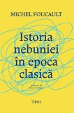 Cumpara ieftin Istoria nebuniei &icirc;n epoca clasică - Michel Foucault