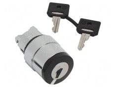 Comutator Rotativ cu Cheie Negru 22mm 2 Pozitii