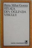 Steaua din oglinda visului - Petru Mihai Gorcea