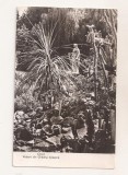 RF168 - Carte Postala - Cluj. Vedere din parcul botanic, circulata