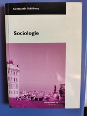 Sociologie-Constantin Schifirnet-comunicare.ro-cursuri