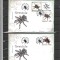 ROMANIA - 2010 TARANTULE, FDC - LP 1856