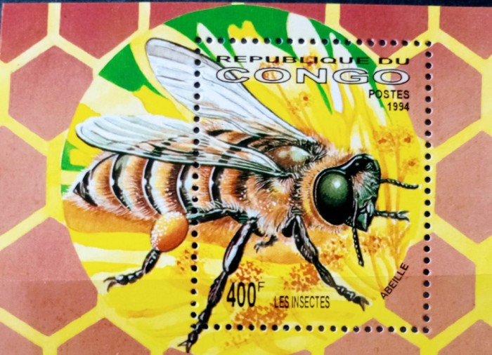 CONGO 1994 albine, insecte ,colita bloc Nestampilat