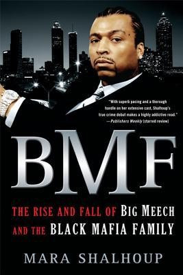 BMF: The Rise and Fall of the Big Meech and the Black Mafia Family foto