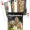 Mushrooms Playing Cards