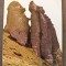 CPIB 23130 CARTE POSTALA - MUZEUL DE BIOLOGIE UMANA PLOIESTI, BABELE DIN CIUCAS - MONUMENT AL NATURII, NECIRCULATA