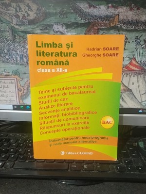 Hadrian și Gheorghe Soare, Limba și literatura rom&amp;acirc;nă, clasa XII, &amp;icirc;ndrumător pentru... noile manuale alternative, editura Carminis, Pitești 2008, 046 foto