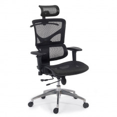 Scaun ergonomic multifunctional EDPO 9500 cu brate reglabile si sezut culisabil Negru foto