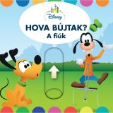 Hova b&uacute;jtak? - A fi&uacute;k