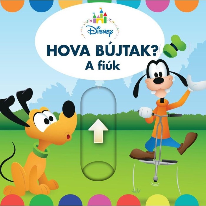 Hova b&uacute;jtak? - A fi&uacute;k