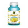 Sanziana 60cps Hypericum, Hypericum Plant