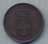 AX 31 -MEDALIA DE ONOARE A MINISTERULUI DE AGRICULTURA, INDUSTRIE SI COMERT 1871