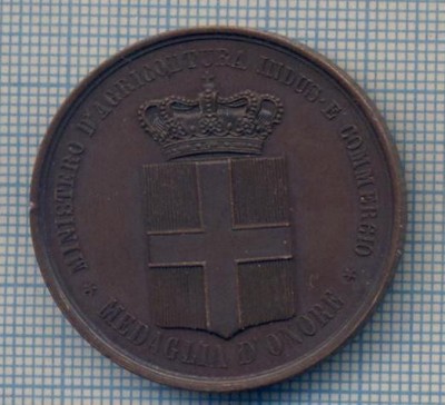 AX 31 -MEDALIA DE ONOARE A MINISTERULUI DE AGRICULTURA, INDUSTRIE SI COMERT 1871 foto