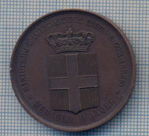 AX 31 -MEDALIA DE ONOARE A MINISTERULUI DE AGRICULTURA, INDUSTRIE SI COMERT 1871