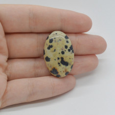 Cabochon jasp dalmatian 31x20x7mm c108