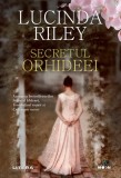 Cumpara ieftin Secretul orhideei