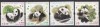 Hong Kong 2008 - URSI PANDA GIGANTI - MNH, Nestampilat