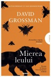 Mierea leului &ndash; David Grossman