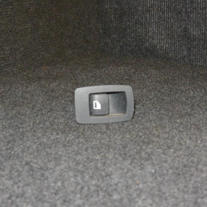 Buton geam ușă dreapta spate BMW 1 F20 2012 OEM: 9208106 2092170