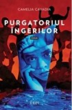 Cumpara ieftin Purgatoriul ingerilor/Camelia Cavadia