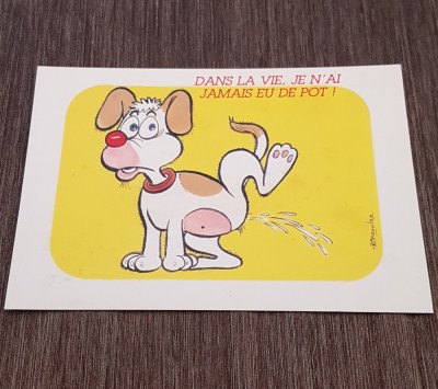Carte Poștală Umoristică Vintage &amp;ndash; &amp;bdquo;Dans La Vie, Je N&amp;#039;ai Jamais Eu De Pot!&amp;quot;, Cățel Amuzant foto