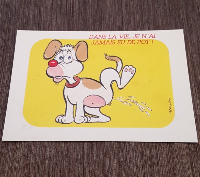 Carte Poștală Umoristică Vintage &ndash; &bdquo;Dans La Vie, Je N&#039;ai Jamais Eu De Pot!&quot;, Cățel Amuzant