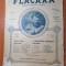 flacara 31 decembrie 1911-numar de anul nou,bratescu voinesti,poveste de craciun