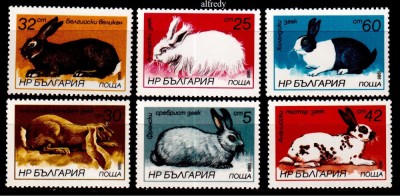 BULGARIA 1986, Fauna, Iepuri, serie neuzata, MNH foto