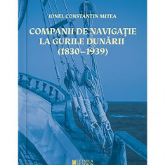 Companii de navigație la gurile Dunării - Paperback brosat - Ionel Constantin Mitea - Cetatea de Scaun