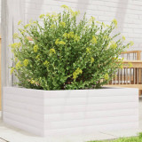 VidaXL Jardinieră de grădină, alb, 60x60x23 cm, lemn masiv de pin