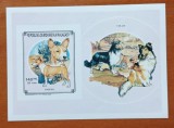 REP. MALGASA-&#039;&#039;FAUNA-CATEI&#039;&#039;-COLITA-MNH NESTAMP. -Calitate EXTRA