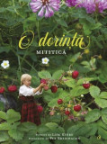 O dorinta mititica, Curtea Veche