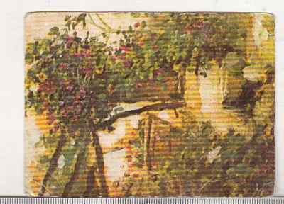 bnk cld Calendar de buzunar 1991 - Editura Merdiane - Th Aman - Pergola foto