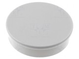 Magnet Neodim 8.5mm x 25mm Plastic