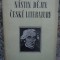N&aacute;stin dějin česk&eacute; literatury - LIMBA CEHA