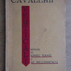 Cavalerii verticali : roman / Cornel Jianu si Al. Bilciurescu