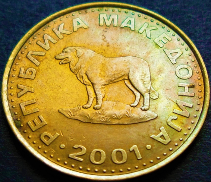 Moneda 1 DENAR - MACEDONIA, anul 2001 * cod 1961 B