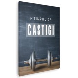 Tablou motivational e timpul sa castigi 1495 Tablou canvas pe panza CU RAMA 70x100 cm