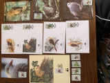 Mauritius - pasari - porumbel - serie 4 timbre MNH, 4 FDC, 4 maxime, fauna wwf