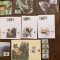 Mauritius - pasari - porumbel - serie 4 timbre MNH, 4 FDC, 4 maxime, fauna wwf