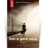 Cumpara ieftin Intr-o gara mica - Sidonia Dragusanu