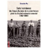 Satul romanesc din Campia Buzaului de la colectivizare pana la sfarsitul regimului comunist (1962&ndash;1989) - Gheorghe Miu