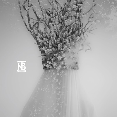 Negura Bunget (Romania) &amp;lrm;&amp;ndash; Zău CD 2021 (Atmospheric Black Metal, Avantgarde) foto