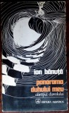 Cumpara ieftin ION BANUTA - PANORAMA DUHULUI MEU (OLIMPUL DIAVOLULUI) [VERSURI, 1975 / coperta de FLORIN PUCA]