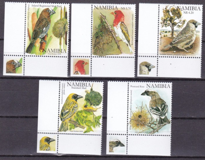 Namibia 2008 fauna pasari MI 1264-1268 MNH