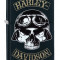 Bricheta Zippo 29738 Harley Davidson-Skull