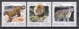 Sierra Leone 2020 - Feline mari, Serie scurta, MNH