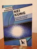 Kosta Danaos, Nei Kung. &Icirc;nvățăturile secrete ale războinicilor &icirc;nțelepți