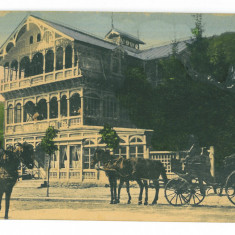 53 - SINAIA, Prahova, Hotel & carriages, Romania - old postcard - unused