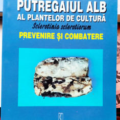 Putregaiul alb al plantelor de cultura Prevenire si combatere.